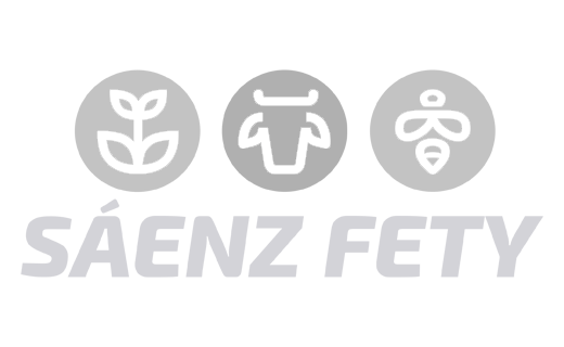 Sáenz Fety